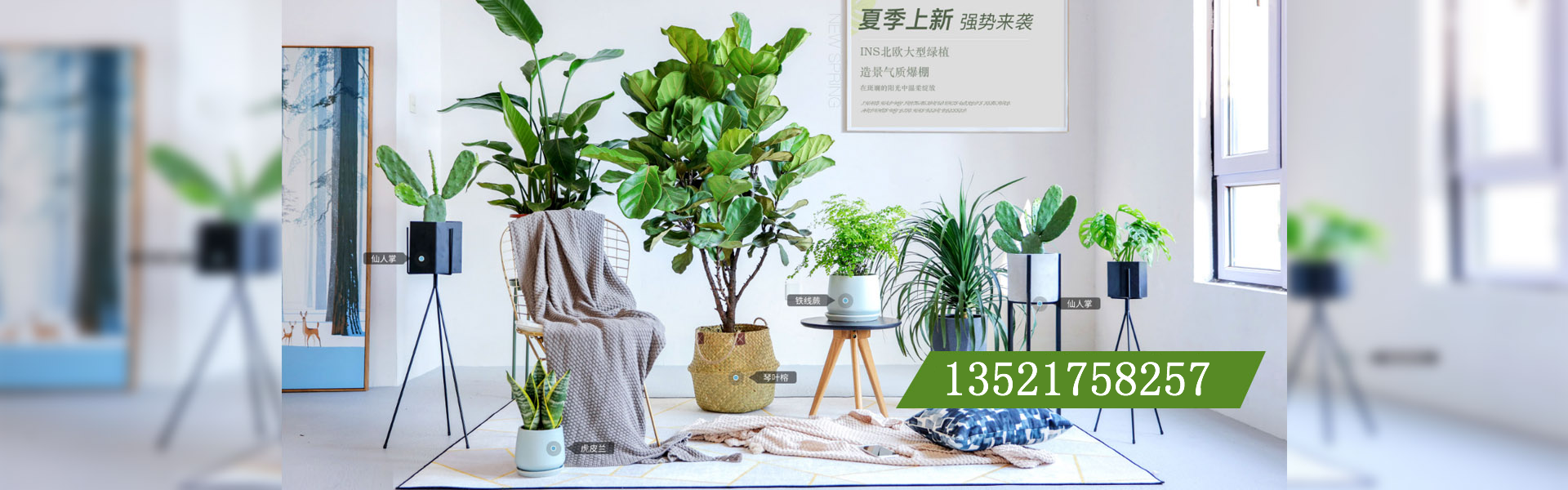 廣告標題